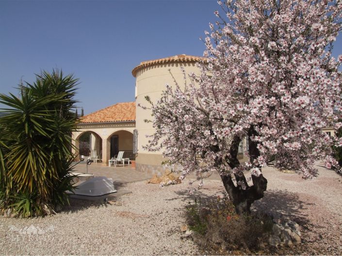 Image No.35-Villa de 4 chambres à vendre à Fortuna
