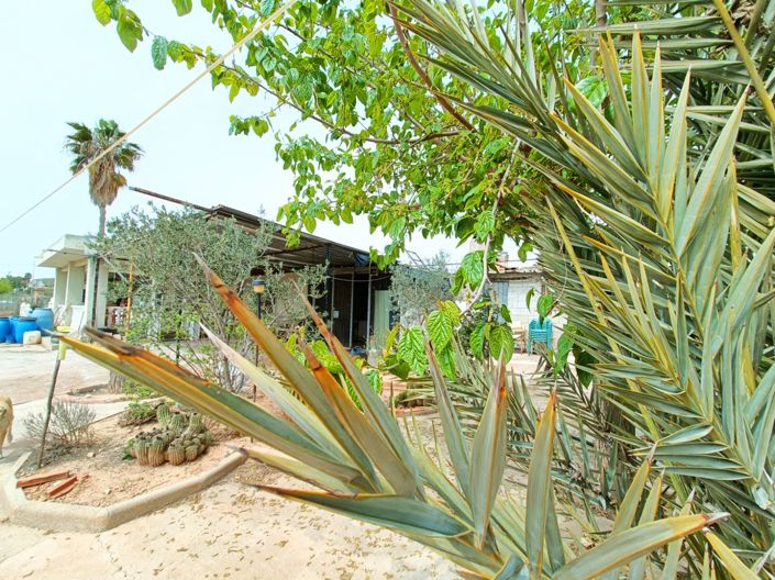 Image No.4-4 Bed Villa for sale