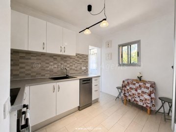 1 - Tenerife, Apartment