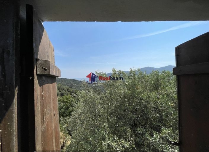 Image No.18-Propriété de 1 chambre à vendre
