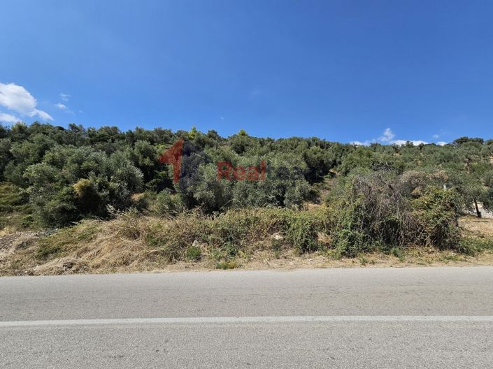 Image No.20-Property for sale
