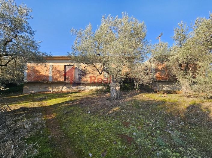 Image No.12-Property for sale