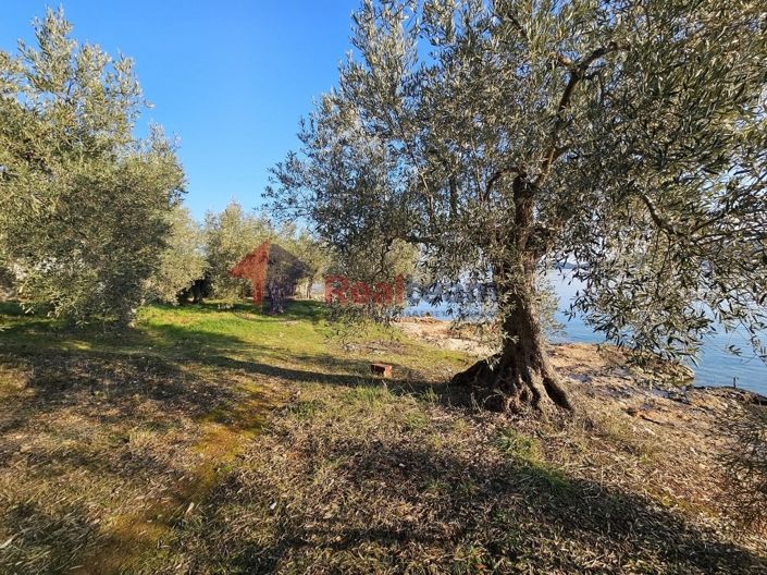 Image No.13-Property for sale