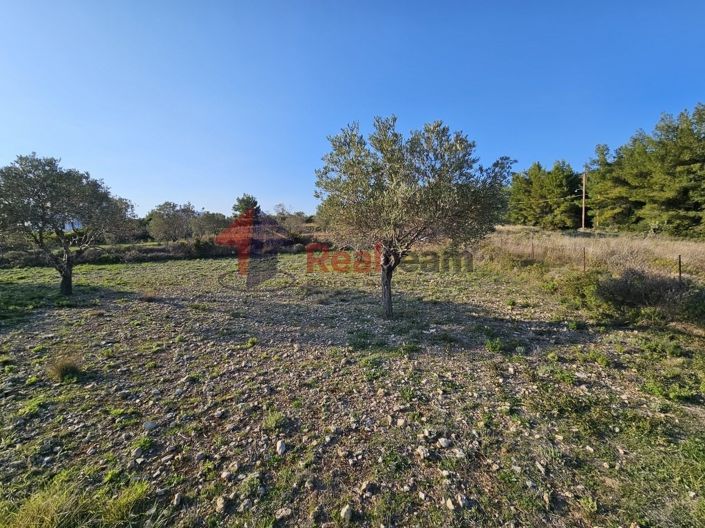 Image No.15-Propriété à vendre à Alonnisos
