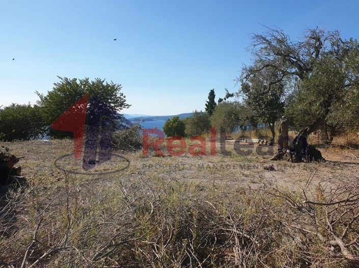 Image No.4-Property for sale