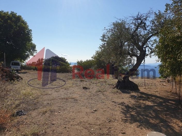 Image No.5-Property for sale