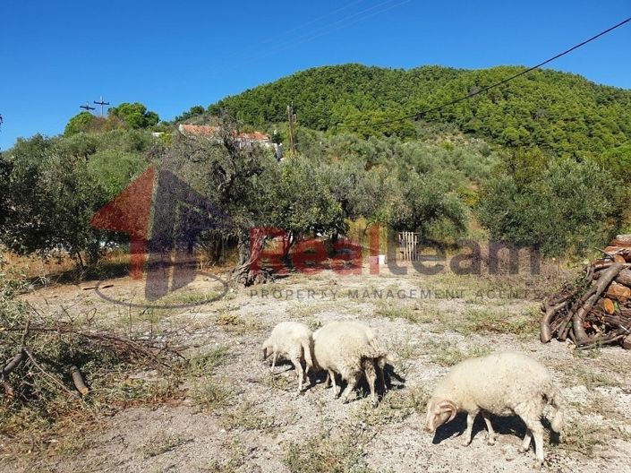 Image No.8-Property for sale