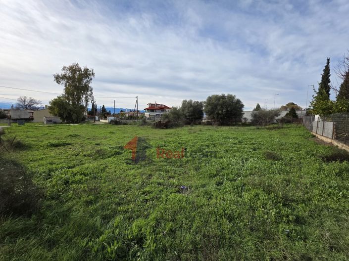Image No.13-Property for sale