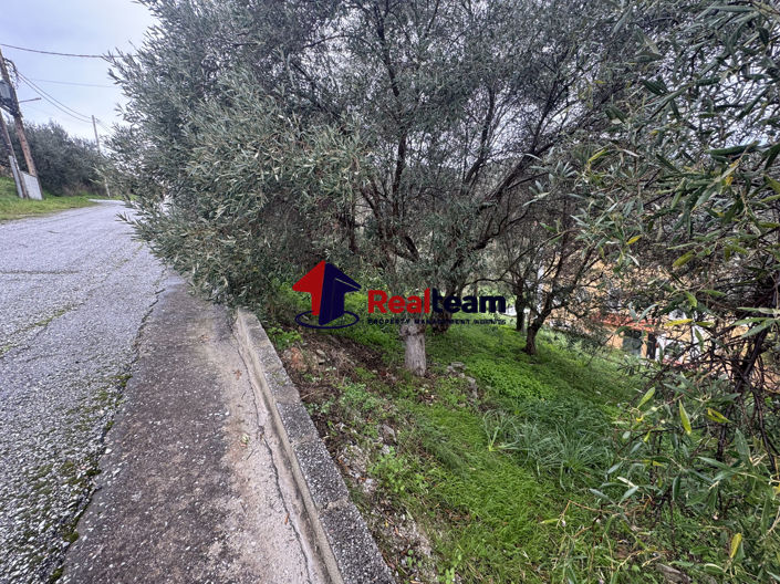Image No.11-Property for sale