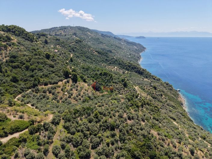 Image No.28-Property for sale