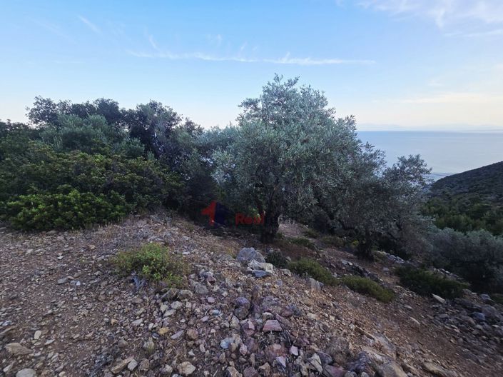 Image No.3-Propriété à vendre à Alonnisos
