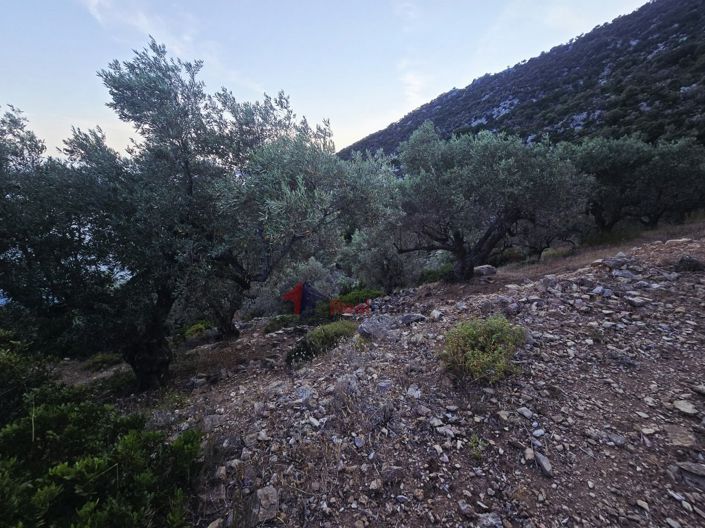 Image No.4-Propriété à vendre à Alonnisos