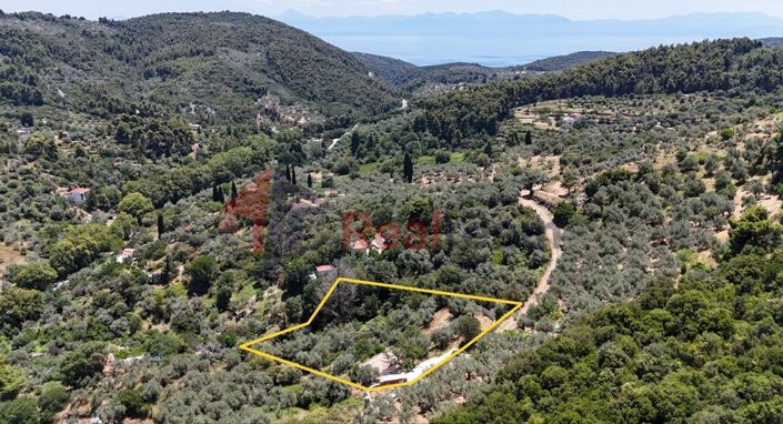 Image No.2-Property for sale