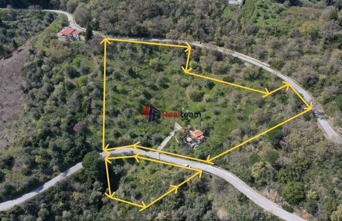 Image No.2-Property for sale
