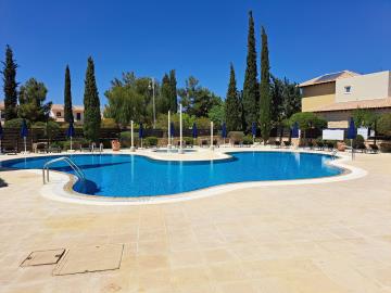 Adonis-Pool