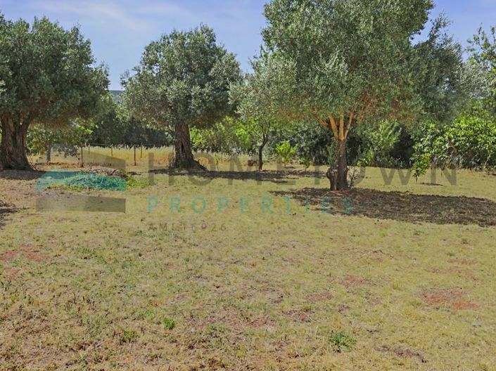 Rustic Land in Salir - Project for House in Light Metal Structure.