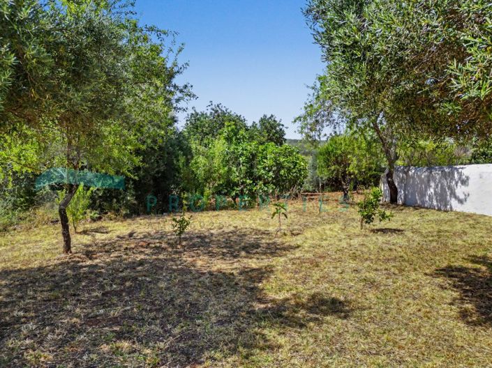 Image No.16-Plot for sale