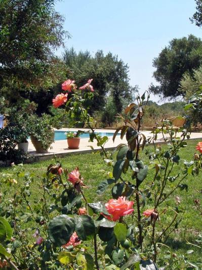 Image No.9-3 Bed Villa for sale