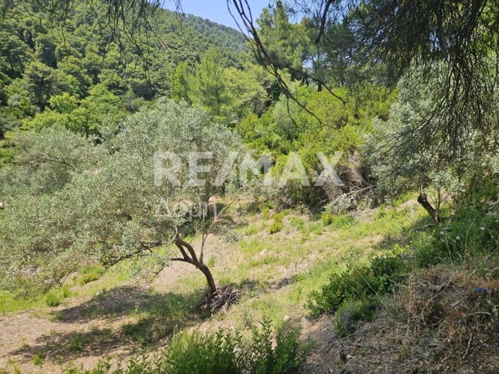 Image No.10-Property for sale
