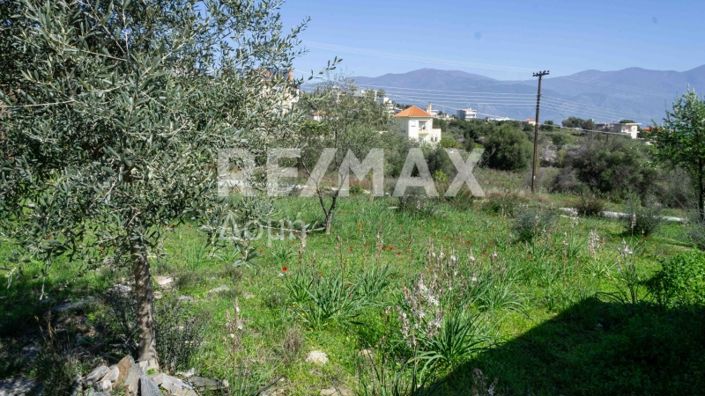 Image No.18-Property for sale