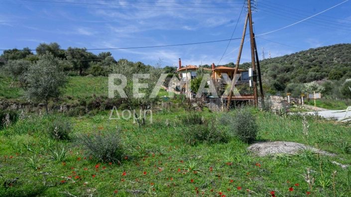 Image No.8-Property for sale