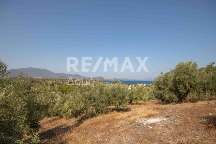Image No.15-Property for sale