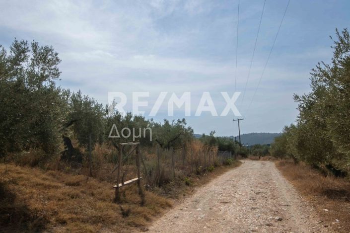 Image No.6-Property for sale