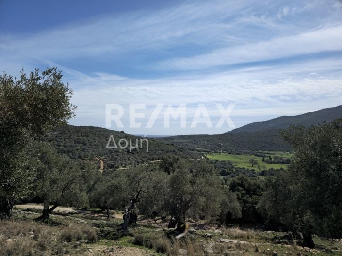 Image No.16-Property for sale