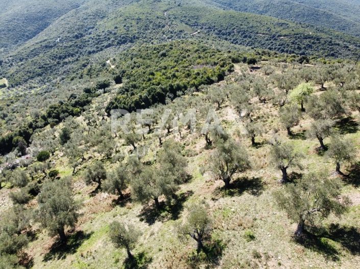 Image No.8-Property for sale