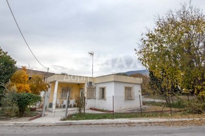 23402-87306428