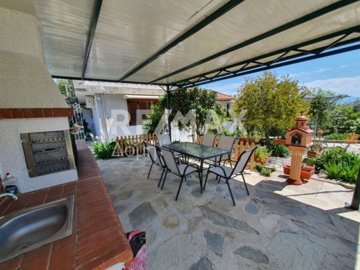 23402-81172734