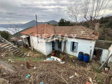 1 - Center, House
