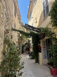 mougins