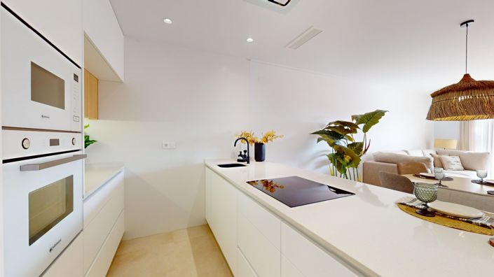 Image No.10-3 Bed Penthouse for sale