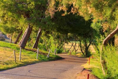 Lo-Romero-Golf-19