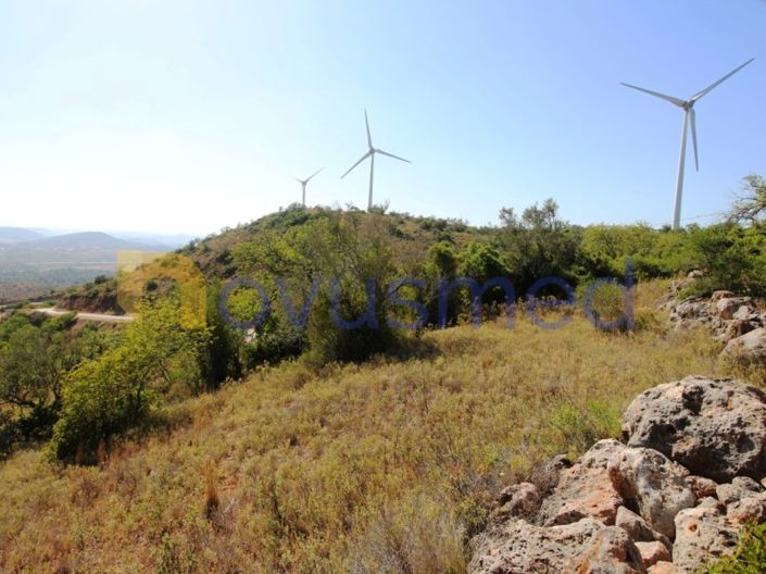 Rural land, suitable for agricultural use, with good access, Messines, Silves, Algarve