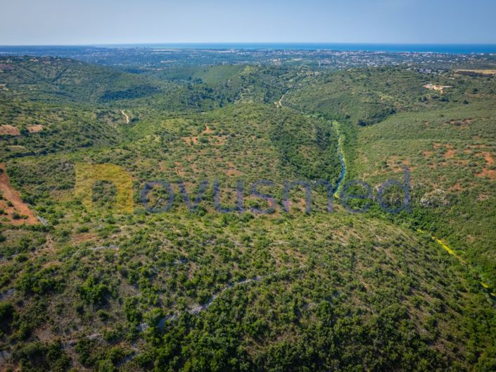 Image No.9-Plot for sale
