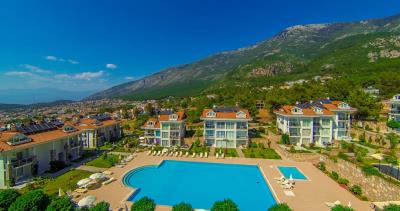 sharon-orka-garden-28