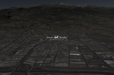 10686804