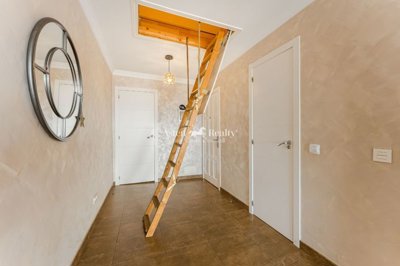 22575264