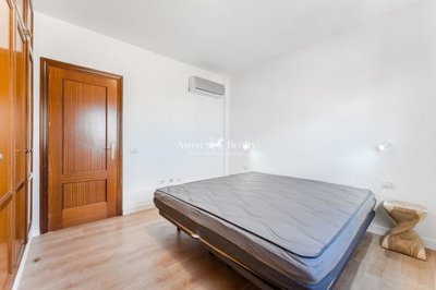 23854484