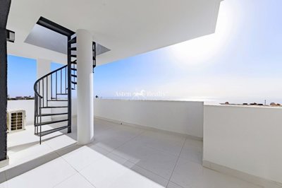 24645116