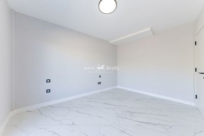 24645119