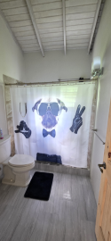 2nd-bathroom---Renfrew