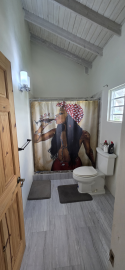 master-bathroom---Renfrew