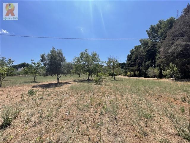 Image No.31-3 Bed Country Property for sale