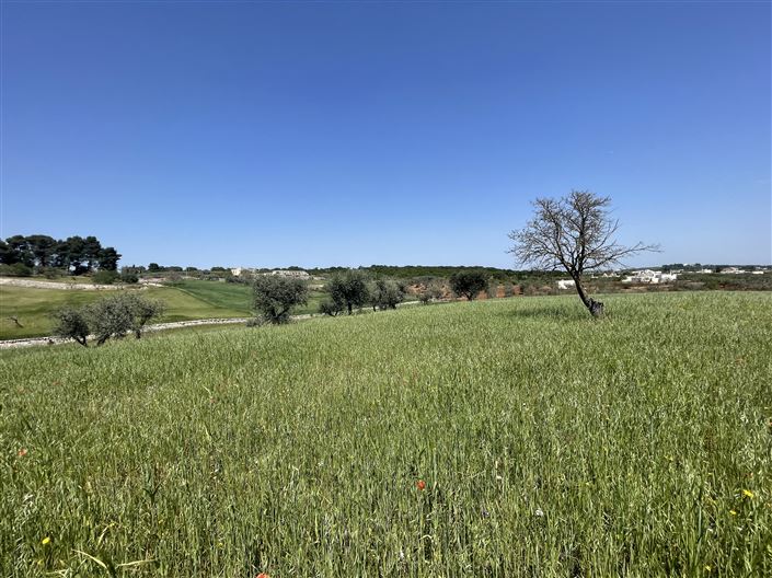 Image No.18-2 Bed Country House for sale