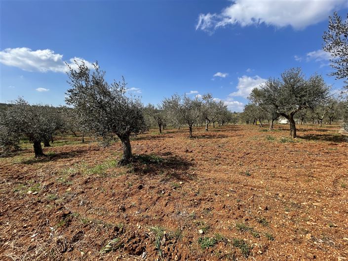 Image No.43-Country House for sale