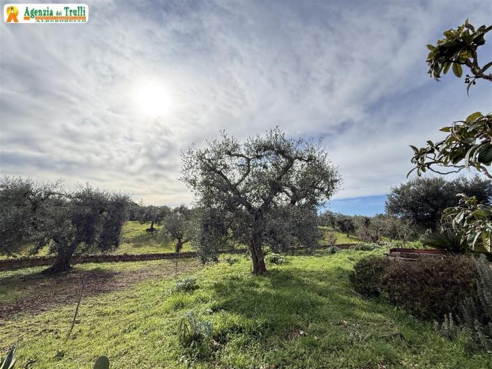 Image No.46-3 Bed Villa for sale