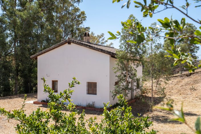 Image No.21-Finca de 3 chambres à vendre à Cartama